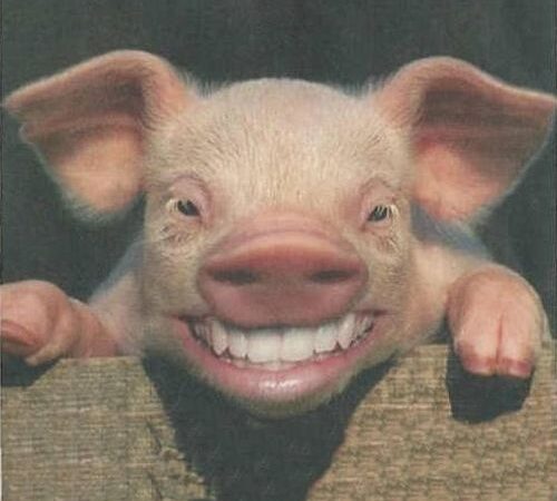 Įveik dantų skausmą be vaistų