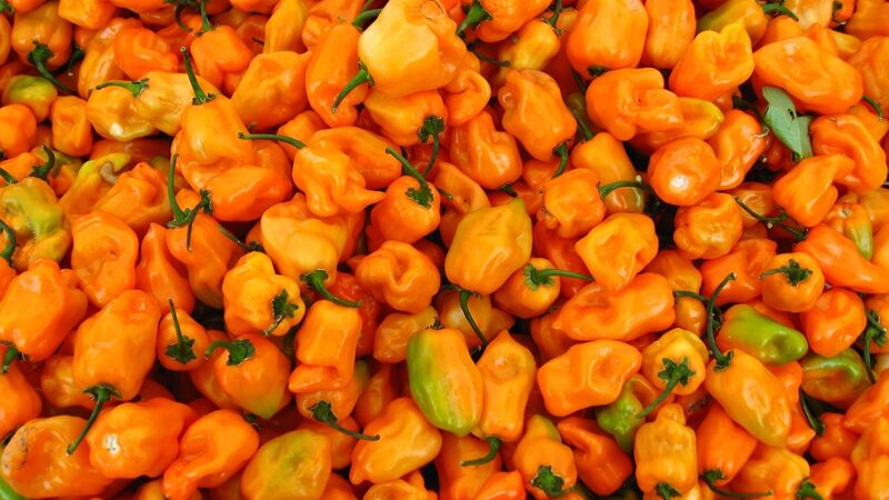 Nevykėlį vagišių įveikė nugvelbtas itin aštrus čili pipiras