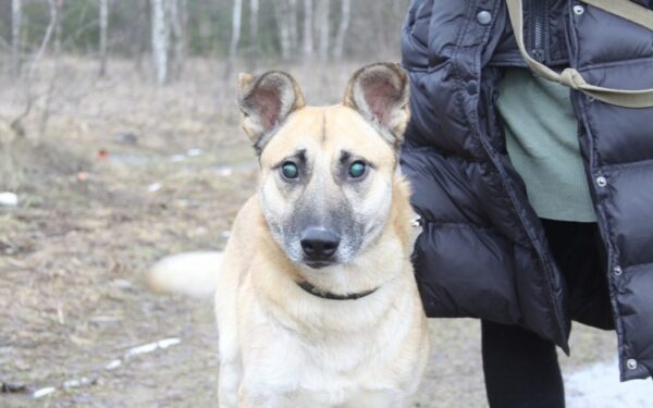 Globotinio pusryčiai: žaliaakis Plutas ieško namų