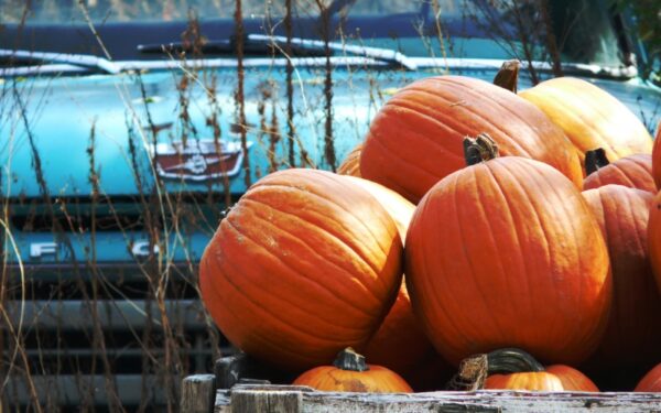 Kokiais orais atsisveikins rugsėjis?