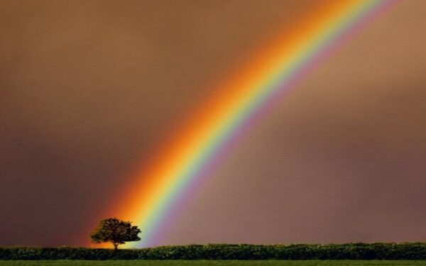 Dangui prakiurus apie savaitgalio orus