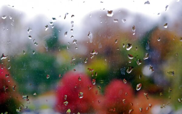 Pirmosios lapkričio savaitės orai