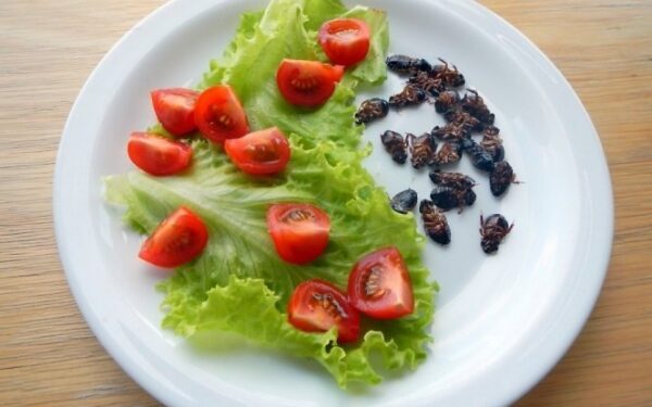 D. Liekis: kodėl verta propaguoti vabzdžių valgymą Lietuvoje