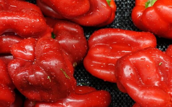 Naudingiausi produktai žiemą