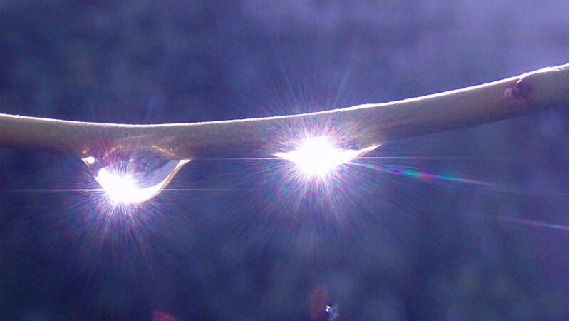 Šios savaitės orai: bus visko