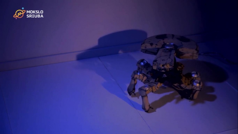 „Mokslo sriuba“: lietuvio kūrinys - gyvą padarą primenantis robotas (video)