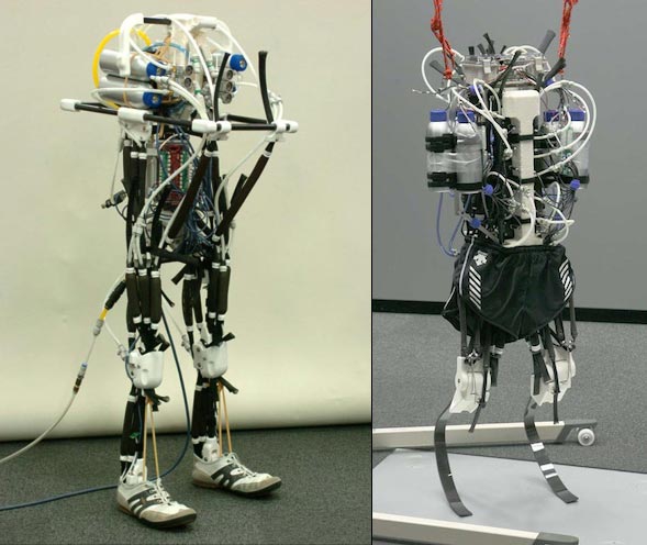 Robotas-atletas mokosi bėgioti imituodamas žmogų (Video)
