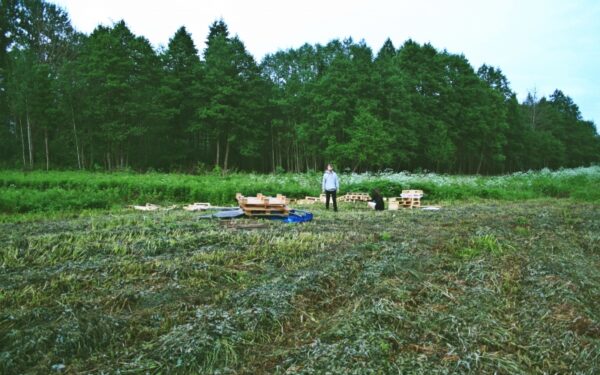 Revolution Festival – Aukštaitijos džiunglėse (foto)