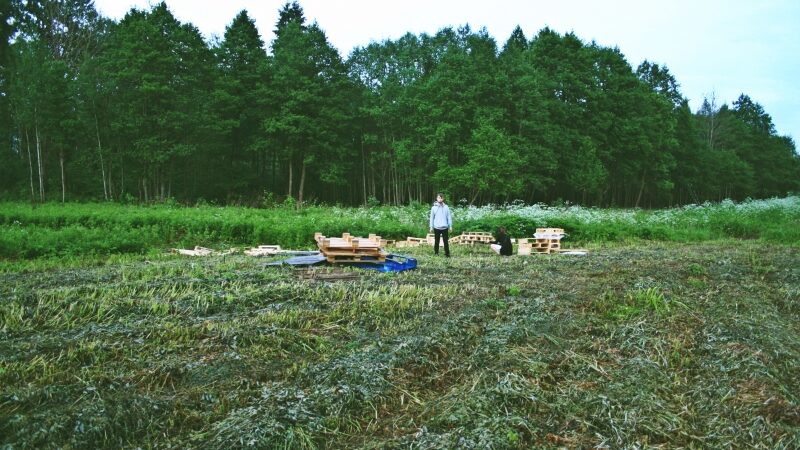 Revolution Festival – Aukštaitijos džiunglėse (foto)