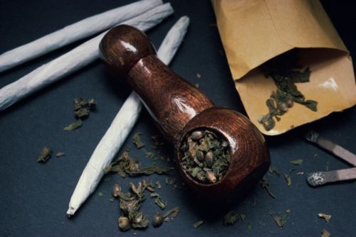 Švedijoje leista vartoti medicininę „marihuaną“
