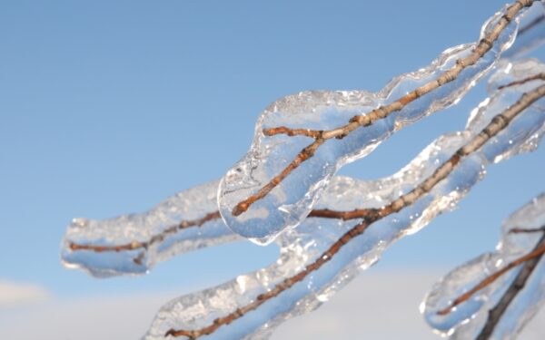 Savaitgalio orai: kada pasitrauks šaltis?