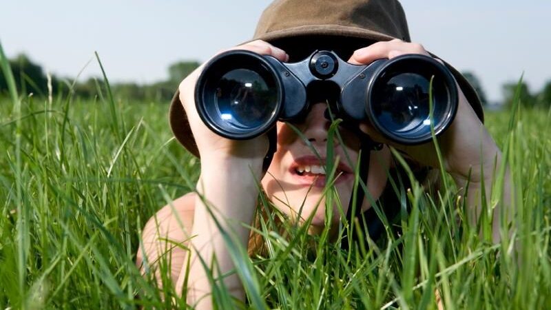 Jaunikio paieškos. Kur jo ieškoti?