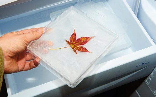 Savaitės orai: atsėlina šaltis