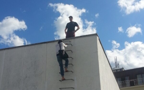 Vilniuje jau kuria vienas trokštamiausių gatvės menininkų Markas Jenkinsas iš JAV