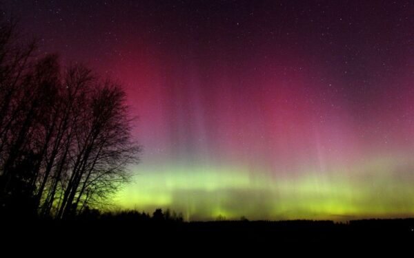 Šiaurės pašvaistė ryškiai nuspalvino Lietuvos dangų