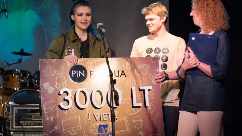 Geriausia PIN dienos kūrėja išrinkta grafikė Shaltmira