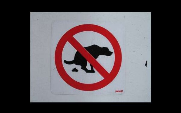 Kaip blondinė brunetei išmatas tėškė…