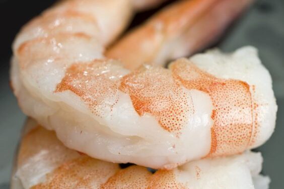 Krevetės drebučiuose