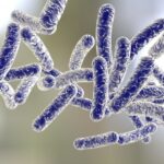 Pavojingas legioneliozės bakterijas sunaikina aukšta temperatūra