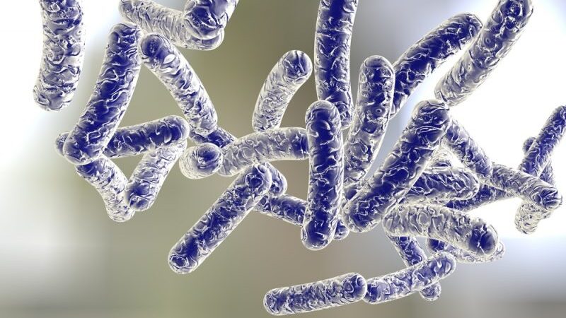 Pavojingas legioneliozės bakterijas sunaikina aukšta temperatūra