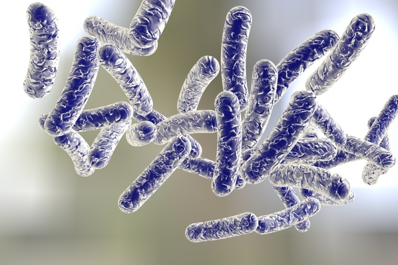 Pavojingas legioneliozės bakterijas sunaikina aukšta temperatūra