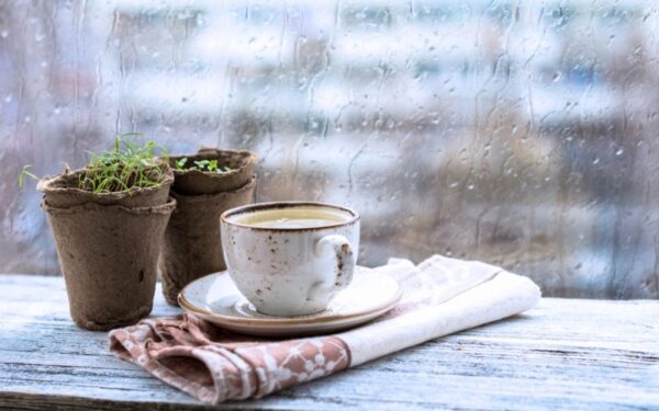 Orai: sugrįžta krituliai, tačiau sulauksime ne tik lietaus