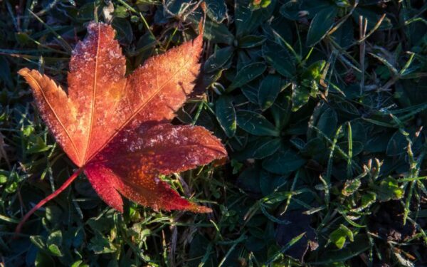 Orai: ruduo vis labiau vės