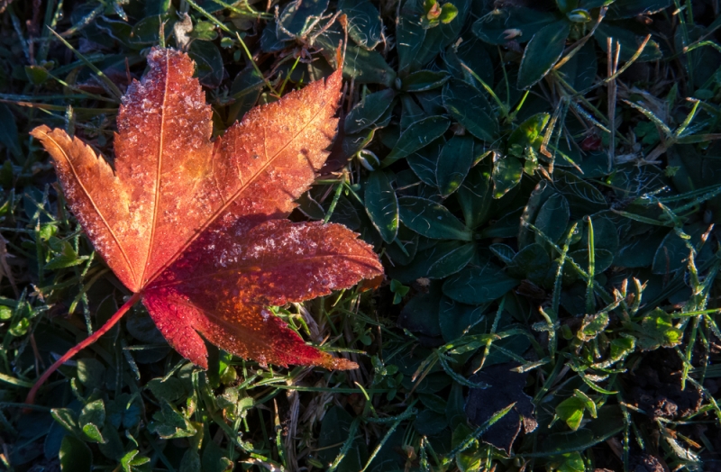 Orai: ruduo vis labiau vės