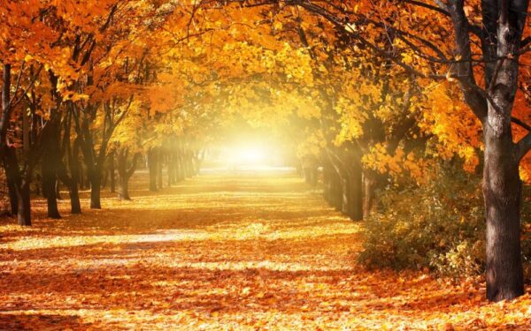 Orai: malonūs pokyčiai jau visai čia pat