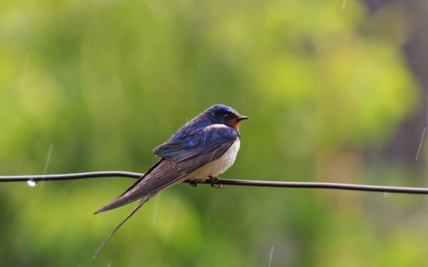 Orai: vasara pažers permainų, kurios nepatiks