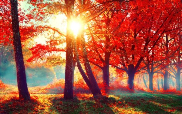 Orai: artinasi itin malonios permainos