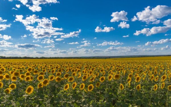 Orai vis šiltės, tačiau danguje veiksmo netrūks