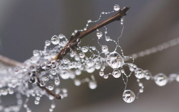 Orai: žiemą sujauks šilumos pliūpsnis