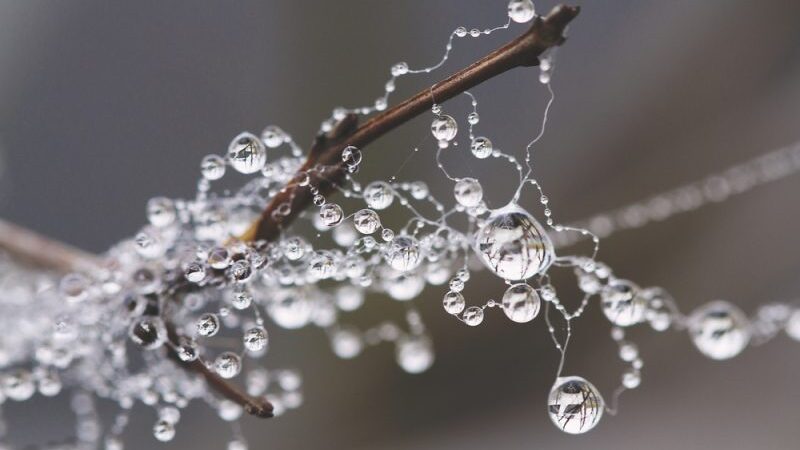 Orai: žiemą sujauks šilumos pliūpsnis