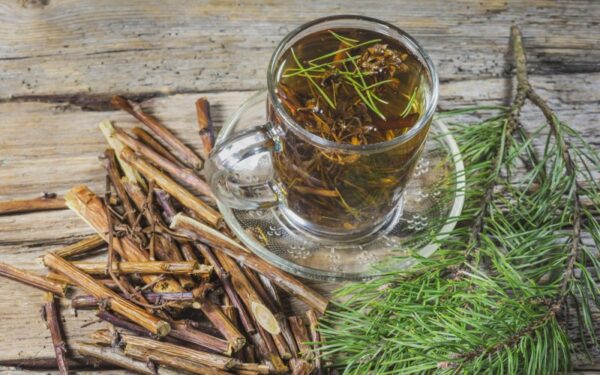 Kokias žoleles rinkti vasario mėnesį?