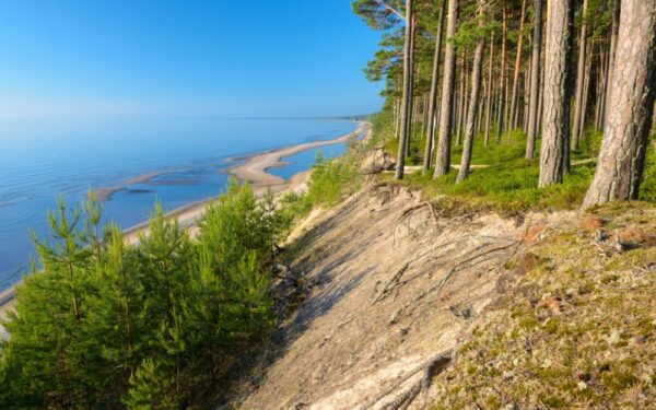 Orai: savaitgalį plūstels vasariška šiluma