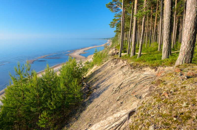 Orai: savaitgalį plūstels vasariška šiluma