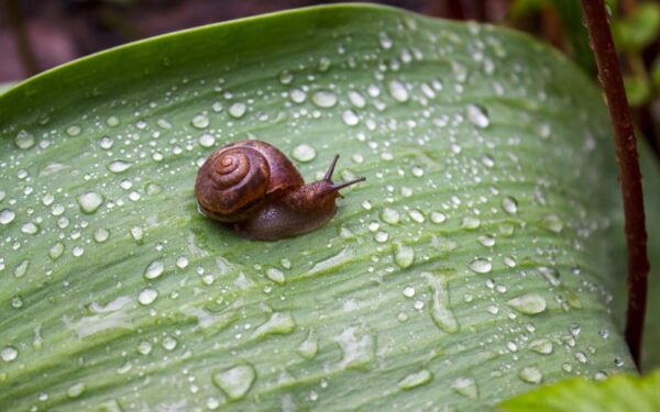 Orai bus permainingi: dangus stebins kasdien
