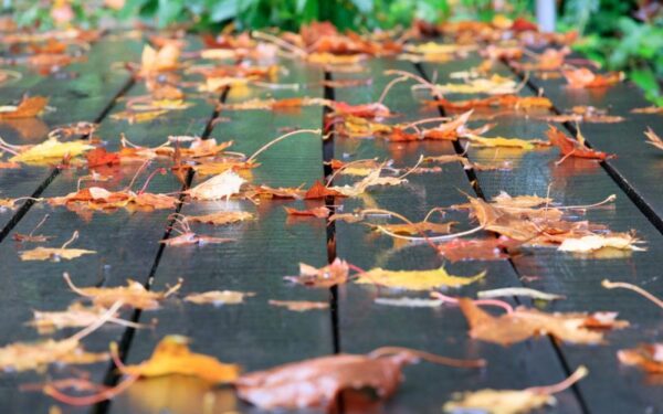 Orai: savaitgalį gadins dar viena kritulių banga