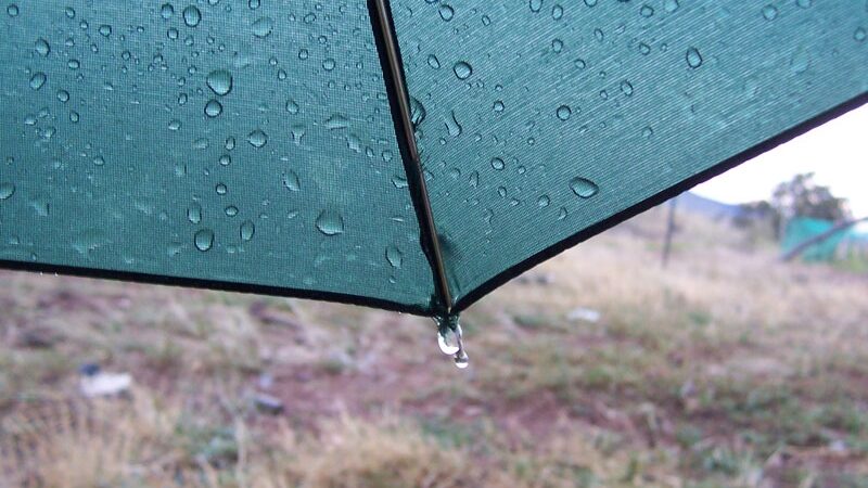 Savaitgalį skėtis liks rankinėje ar ne?