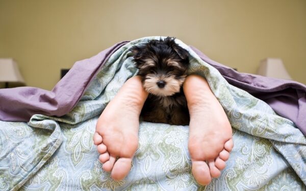 Tarptautinę miego dieną apie nemigą ir būdus su ja kovoti