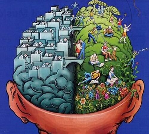 Interaktyvi „Intelektų kova“ po atviru dangumi – jau šį šeštadienį