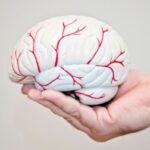 Žengtas žingsnis link dirbtinių žmogaus smegenų