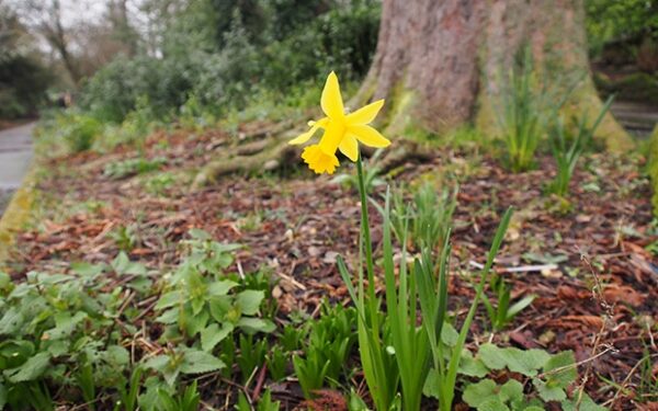 Orai Lietuvoje keisis: sinoptikai įspėja ciklonas „Isgard“ garantuos permainingą savaitę