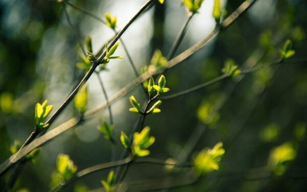 Po savaitgalio – netikėtos orų prognozės: kas iš tiesų artėja prie Lietuvos?