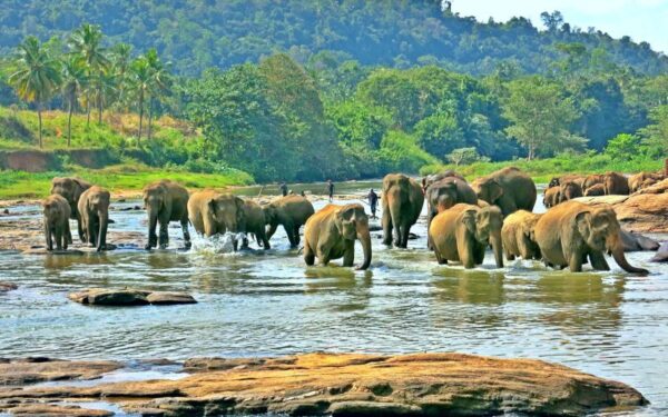 Sužinokite, kur geriausia keliauti rudenį, kad negąsdintų kainos ir oras