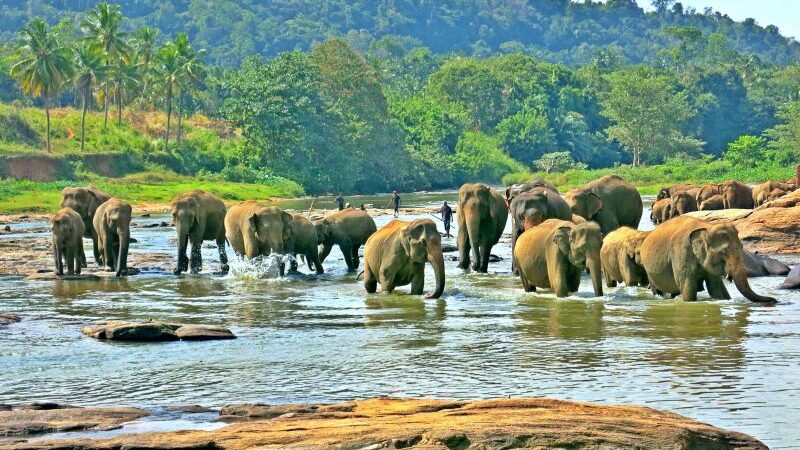 Sužinokite, kur geriausia keliauti rudenį, kad negąsdintų kainos ir oras