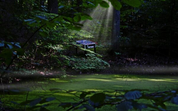 „Roko natyse“ melomanai galės pasinerti į lobio paieškas
