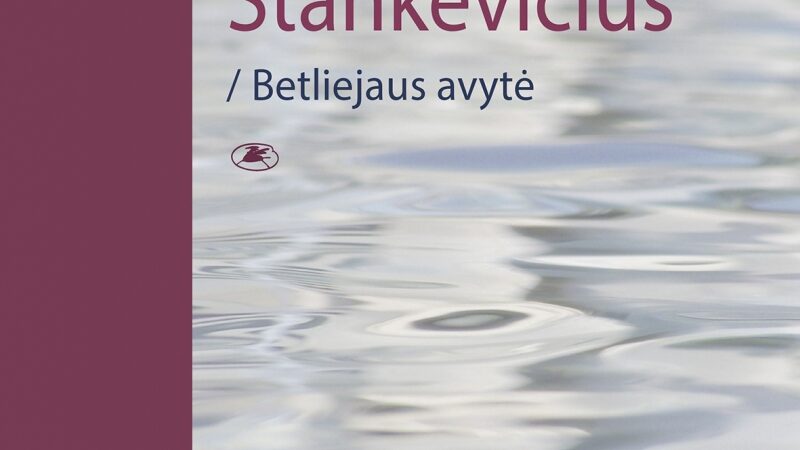 Apie avytę Betliejuje, didžiąją žuvį ir nediktuojamus diktantus (interviu)