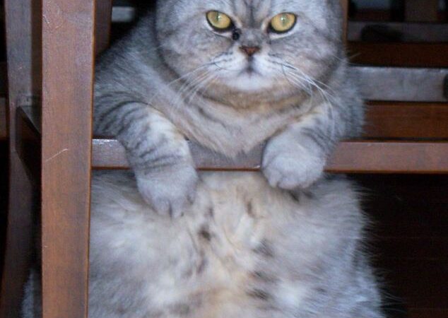 Stora ir tuo patenkinta! (Foto)